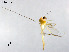  ( - LZB59)  @11 [ ] CreativeCommons-Attribution Non-Commercial Share-Alike (2020) Xiaolong Lin Nankai University, College of Life Sciences
