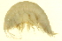  ( - BIOUG00940-D05)  @14 [ ] CreativeCommons - Attribution (2011) CBG Photography Group Centre for Biodiversity Genomics