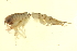  ( - BIOUG00940-E12)  @11 [ ] CreativeCommons - Attribution (2011) CBG Photography Group Centre for Biodiversity Genomics