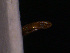  ( - BC-20)  @12 [ ] Unspecified (default): All Rights Reserved  Unspecified Unspecified