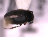  ( - BC-35)  @13 [ ] Unspecified (default): All Rights Reserved  Unspecified Unspecified