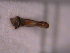  ( - BC-50)  @12 [ ] Unspecified (default): All Rights Reserved  Unspecified Unspecified