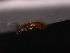 ( - BC-54)  @12 [ ] Unspecified (default): All Rights Reserved  Unspecified Unspecified