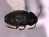  ( - BC-67)  @12 [ ] Unspecified (default): All Rights Reserved  Unspecified Unspecified