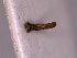  ( - BC-67)  @12 [ ] Unspecified (default): All Rights Reserved  Unspecified Unspecified