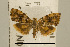  ( - USNM ENT 00730066)  @14 [ ] Unspecified (default): All Rights Reserved  Unspecified Unspecified