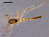  ( - CH-OSF101)  @12 [ ] CreativeCommons - Attribution Non-Commercial Share-Alike (2011) NTNU Museum of Natural History and Archaeology NTNU Museum of Natural History and Archaeology