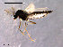  ( - CH-OSF124)  @12 [ ] CreativeCommons - Attribution Non-Commercial Share-Alike (2011) NTNU Museum of Natural History and Archaeology NTNU Museum of Natural History and Archaeology