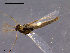  ( - CH-OSF140)  @13 [ ] CreativeCommons - Attribution Non-Commercial Share-Alike (2011) NTNU Museum of Natural History and Archaeology NTNU Museum of Natural History and Archaeology