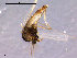  ( - CH-OSF144)  @12 [ ] CreativeCommons - Attribution Non-Commercial Share-Alike (2011) NTNU Museum of Natural History and Archaeology NTNU Museum of Natural History and Archaeology