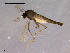  ( - CH-OSF24)  @13 [ ] CreativeCommons - Attribution Non-Commercial Share-Alike (2011) NTNU Museum of Natural History and Archaeology NTNU Museum of Natural History and Archaeology