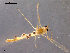  ( - CH-OSF45)  @12 [ ] CreativeCommons - Attribution Non-Commercial Share-Alike (2011) NTNU Museum of Natural History and Archaeology NTNU Museum of Natural History and Archaeology