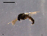  ( - CH-OSF09)  @12 [ ] CreativeCommons - Attribution Non-Commercial Share-Alike (2011) NTNU Museum of Natural History and Archaeology NTNU Museum of Natural History and Archaeology