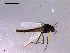  ( - CH-OSF91)  @13 [ ] CreativeCommons - Attribution Non-Commercial Share-Alike (2011) NTNU Museum of Natural History and Archaeology NTNU Museum of Natural History and Archaeology