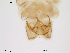  ( - Finnmark413)  @13 [ ] CreativeCommons - Attribution Non-Commercial Share-Alike (2012) NTNU Museum of Natural History and Archaeology NTNU Museum of Natural History and Archaeology