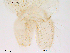  ( - Finnmark417)  @13 [ ] CreativeCommons - Attribution Non-Commercial Share-Alike (2012) NTNU Museum of Natural History and Archaeology NTNU Museum of Natural History and Archaeology
