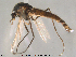  ( - Finnmark489)  @12 [ ] CreativeCommons - Attribution Non-Commercial Share-Alike (2012) NTNU Museum of Natural History and Archaeology NTNU Museum of Natural History and Archaeology