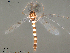  ( - Finnmark509)  @13 [ ] CreativeCommons - Attribution Non-Commercial Share-Alike (2012) NTNU Museum of Natural History and Archaeology NTNU Museum of Natural History and Archaeology