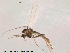  ( - Finnmark571)  @12 [ ] CreativeCommons - Attribution Non-Commercial Share-Alike (2012) NTNU Museum of Natural History and Archaeology NTNU Museum of Natural History and Archaeology