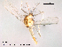  ( - Finnmark595)  @13 [ ] CreativeCommons - Attribution Non-Commercial Share-Alike (2012) NTNU Museum of Natural History and Archaeology NTNU Museum of Natural History and Archaeology