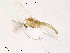  ( - Finnmark623)  @12 [ ] CreativeCommons - Attribution Non-Commercial Share-Alike (2012) NTNU Museum of Natural History and Archaeology NTNU Museum of Natural History and Archaeology