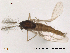  ( - Finnmark651)  @13 [ ] CreativeCommons - Attribution Non-Commercial Share-Alike (2012) NTNU Museum of Natural History and Archaeology NTNU Museum of Natural History and Archaeology