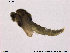  ( - Finnmark824)  @12 [ ] CreativeCommons - Attribution Non-Commercial Share-Alike (2014) NTNU University Museum, Department of Natural History NTNU University Museum, Department of Natural History