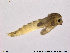  ( - Finnmark831)  @12 [ ] CreativeCommons - Attribution Non-Commercial Share-Alike (2014) NTNU University Museum, Department of Natural History NTNU University Museum, Department of Natural History