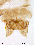  ( - Finnmark109)  @12 [ ] CreativeCommons - Attribution Non-Commercial Share-Alike (2012) NTNU Museum of Natural History and Archaeology NTNU Museum of Natural History and Archaeology