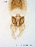 ( - Finnmark13)  @12 [ ] CreativeCommons - Attribution Non-Commercial Share-Alike (2012) NTNU Museum of Natural History and Archaeology NTNU Museum of Natural History and Archaeology