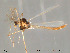  ( - Finnmark132)  @13 [ ] CreativeCommons - Attribution Non-Commercial Share-Alike (2012) NTNU Museum of Natural History and Archaeology NTNU Museum of Natural History and Archaeology