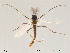  ( - Finnmark167)  @13 [ ] CreativeCommons - Attribution Non-Commercial Share-Alike (2012) NTNU Museum of Natural History and Archaeology NTNU Museum of Natural History and Archaeology