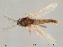  ( - Finnmark210)  @13 [ ] CreativeCommons - Attribution Non-Commercial Share-Alike (2012) NTNU Museum of Natural History and Archaeology NTNU Museum of Natural History and Archaeology