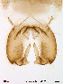  ( - Finnmark260)  @12 [ ] CreativeCommons - Attribution Non-Commercial Share-Alike (2012) NTNU Museum of Natural History and Archaeology NTNU Museum of Natural History and Archaeology