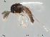  ( - Finnmark322)  @13 [ ] CreativeCommons - Attribution Non-Commercial Share-Alike (2012) NTNU Museum of Natural History and Archaeology NTNU Museum of Natural History and Archaeology