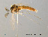  ( - Finnmark34)  @14 [ ] CreativeCommons - Attribution Non-Commercial Share-Alike (2012) NTNU Museum of Natural History and Archaeology NTNU Museum of Natural History and Archaeology