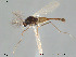  ( - Finnmark393)  @13 [ ] CreativeCommons - Attribution Non-Commercial Share-Alike (2012) NTNU Museum of Natural History and Archaeology NTNU Museum of Natural History and Archaeology