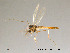  ( - Finnmark42)  @13 [ ] CreativeCommons - Attribution Non-Commercial Share-Alike (2012) NTNU Museum of Natural History and Archaeology NTNU Museum of Natural History and Archaeology