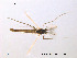  ( - Finnmark54)  @13 [ ] CreativeCommons - Attribution Non-Commercial Share-Alike (2012) NTNU Museum of Natural History and Archaeology NTNU Museum of Natural History and Archaeology
