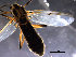  ( - Finnmark657)  @13 [ ] CreativeCommons - Attribution Non-Commercial Share-Alike (2011) NTNU Museum of Natural History and Archaeology NTNU Museum of Natural History and Archaeology