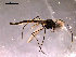  ( - Finnmark664)  @12 [ ] CreativeCommons - Attribution Non-Commercial Share-Alike (2011) NTNU Museum of Natural History and Archaeology NTNU Museum of Natural History and Archaeology