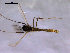  ( - Finnmark686)  @13 [ ] CreativeCommons - Attribution Non-Commercial Share-Alike (2011) NTNU Museum of Natural History and Archaeology NTNU Museum of Natural History and Archaeology