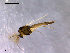  ( - Finnmark714)  @13 [ ] CreativeCommons - Attribution Non-Commercial Share-Alike (2011) NTNU Museum of Natural History and Archaeology NTNU Museum of Natural History and Archaeology