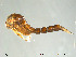  ( - Finnmark741)  @12 [ ] CreativeCommons - Attribution Non-Commercial Share-Alike (2012) NTNU Museum of Natural History and Archaeology NTNU Museum of Natural History and Archaeology