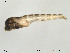  ( - Finnmark765)  @12 [ ] CreativeCommons - Attribution Non-Commercial Share-Alike (2012) NTNU Museum of Natural History and Archaeology NTNU Museum of Natural History and Archaeology