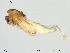  ( - Finnmark768)  @12 [ ] CreativeCommons - Attribution Non-Commercial Share-Alike (2012) NTNU Museum of Natural History and Archaeology NTNU Museum of Natural History and Archaeology
