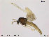  ( - Finnmark852)  @12 [ ] CreativeCommons - Attribution Non-Commercial Share-Alike (2014) NTNU University Museum, Department of Natural History NTNU University Museum, Department of Natural History