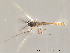  ( - Finnmark87)  @12 [ ] CreativeCommons - Attribution Non-Commercial Share-Alike (2012) NTNU Museum of Natural History and Archaeology NTNU Museum of Natural History and Archaeology