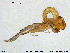  ( - Finnmark879)  @11 [ ] Creative Commons  Attribution Non-Commercial Share-Alike (2016) NTNU University Museum, Department of Natural History NTNU University Museum, Department of Natural History