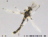  ( - RIN_CH07)  @13 [ ] CreativeCommons - Attribution Non-Commercial Share-Alike (2013) Mona Saursaunet, NTNU Museum of Natural History and Archeology NTNU Museum of Natural History and Archeology